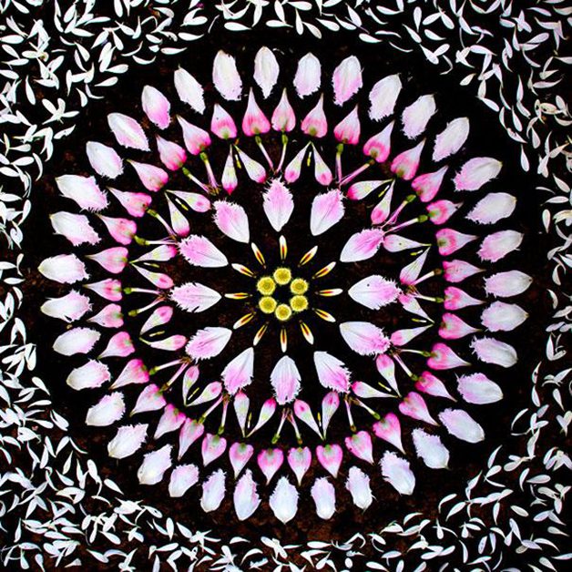 Danmala-Flower-Mandala-Kathy-Klein-3