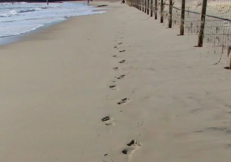 Footprint-In-Sand-2-E-1-E1393120578222