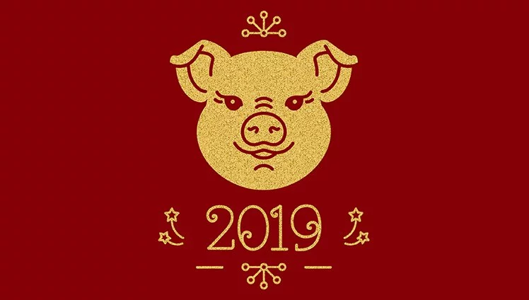 2019 - Ano Do Porco