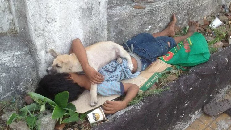 Criança Adota Um Cão De Rua Para