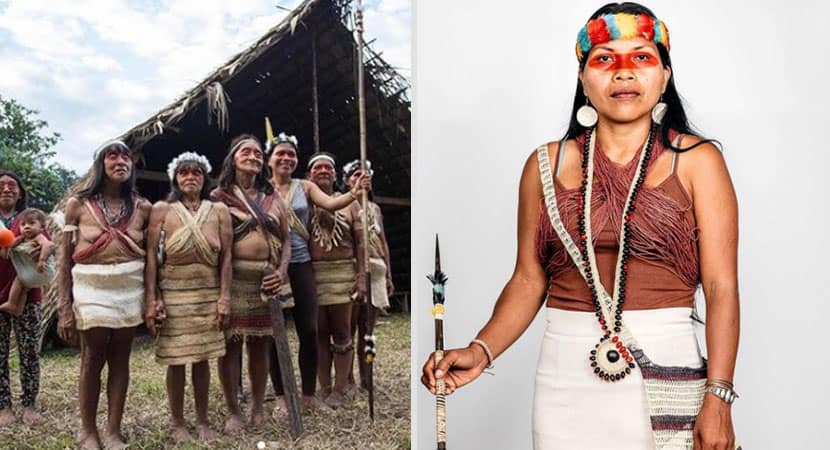 Líder indígena, que protegeu 500 mil acres da floresta amazônica, é premiada com prêmio global! 2 2líder indígena que protegeu 500 mil hectares da Floresta Amazonica é premiada com premio global