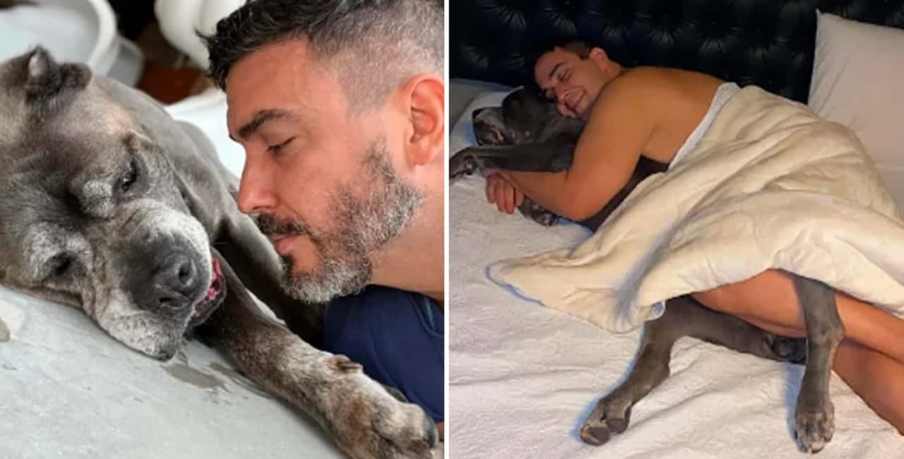 André Marques Posta Clique Dormindo De Conchinha Com Cachorro E Levanta A Questão: Faz Mal À Saúde?