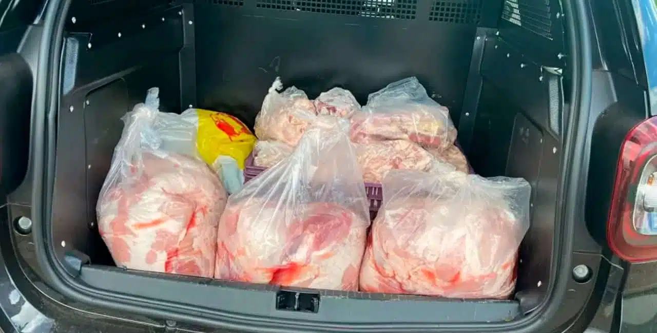 A Polícia Civil De Goiás Investiga Um Abatedouro Clandestino De Animais Que Vendia Carne De Cavalo Misturada A Carne Suína.