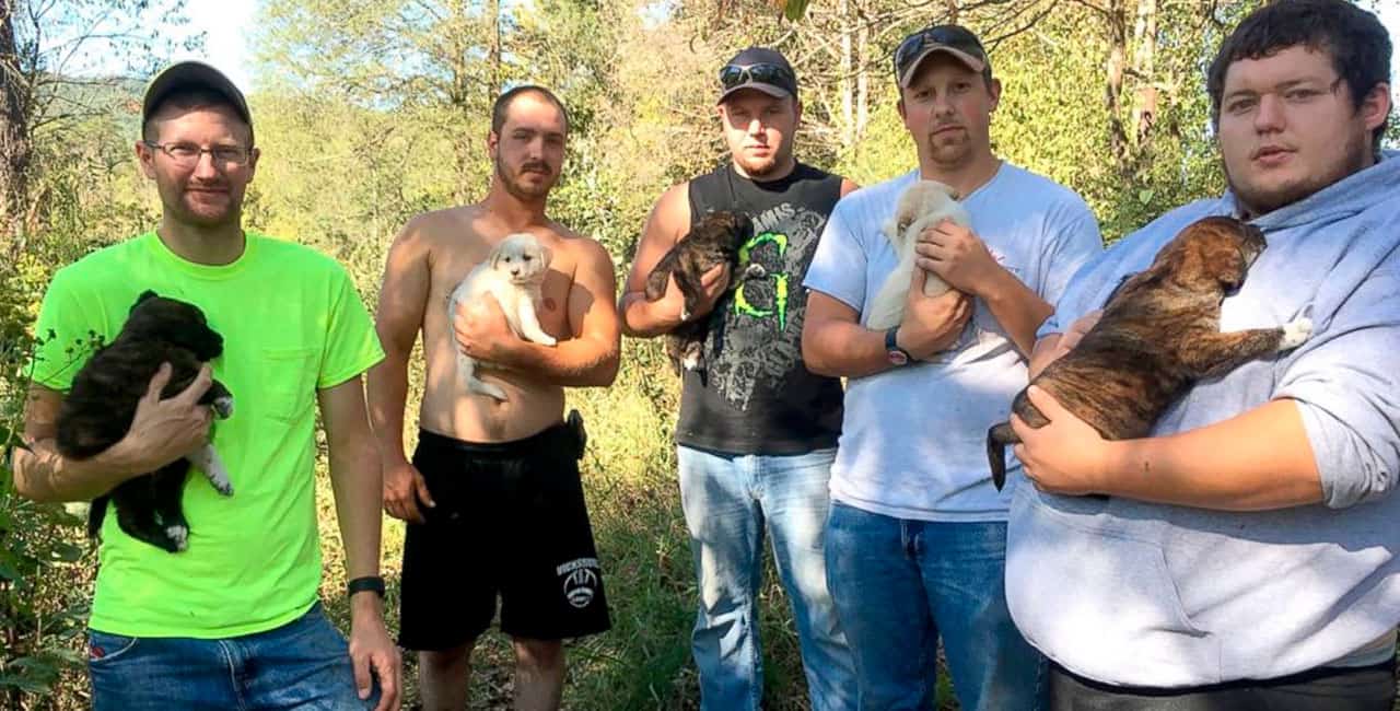Estes Oito Amigos Estavam Celebrando A Formatura De Mitchel Craddock Em Uma Cabana Rural No Estado Americano Do Tennessee Quando Uma Cachorrinha Apareceu.
