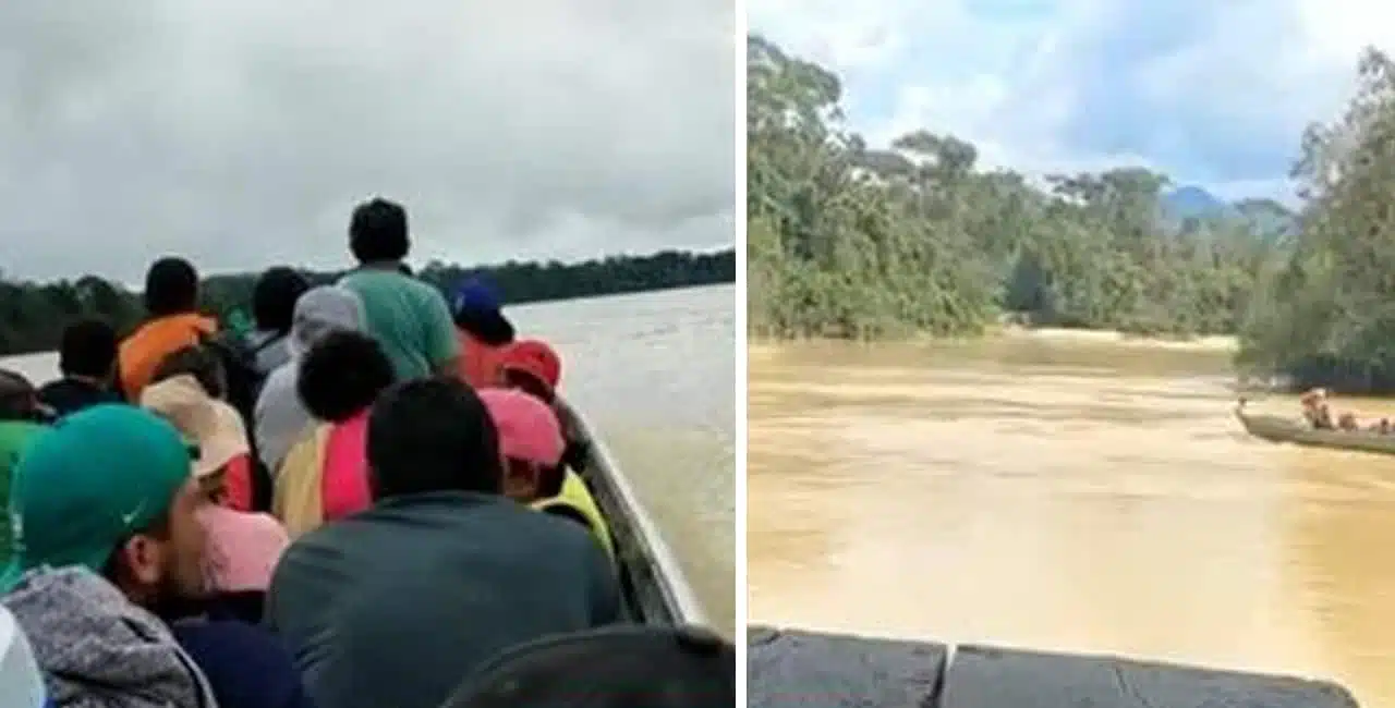 Imagens Mostram Dezenas De Garimpeiros Fugindo A Pé Pela Floresta E De Barco. Eles Pedem Para Ser Resgatados Pelo Exército.