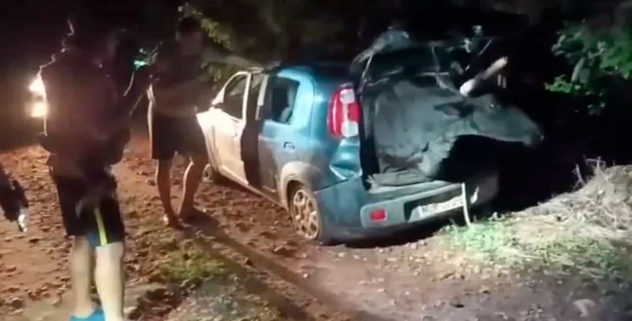 Boi De Grande Porte É Resgatado De Bagageiro De Carro Furtado No Ceará