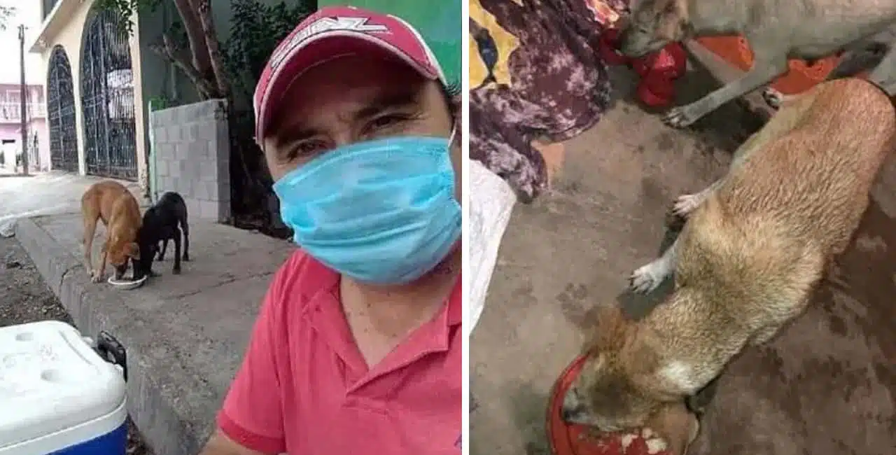 O Mexicano Jorge Jaime Foi Mordido Por Um Cão De Rua E Decidiu &Quot;Não Pagar Na Mesma Moeda&Quot; Ao Zelar Pela Saúde Do Animal.