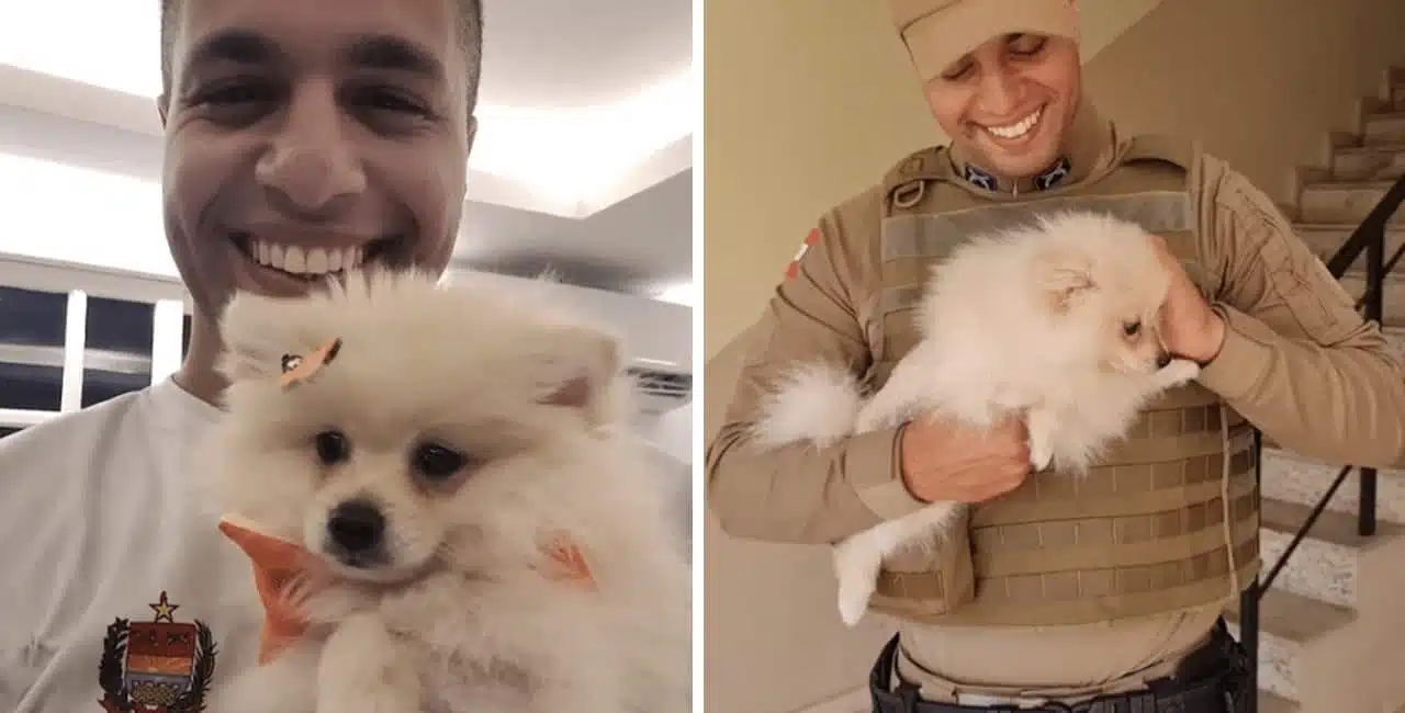 O Soldado Gonçalves Encontrou O Cachorro Durante Uma Ocorrência De Homicídio No Dia 7 De Março.