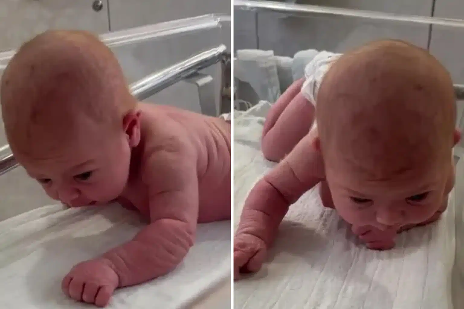 Bebê De Três Dias Surpreende Ao Levantar A Cabeça Em Vídeo Viral