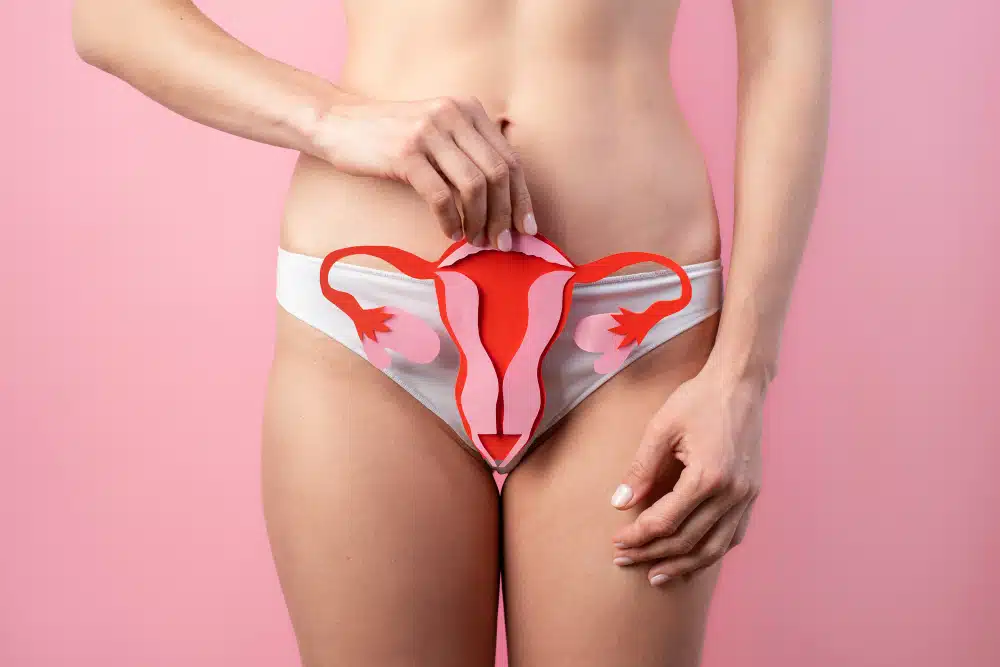 Candidíase Vaginal: Entenda O Que É, Quais São Os Sintomas, Causas E Tratamento
