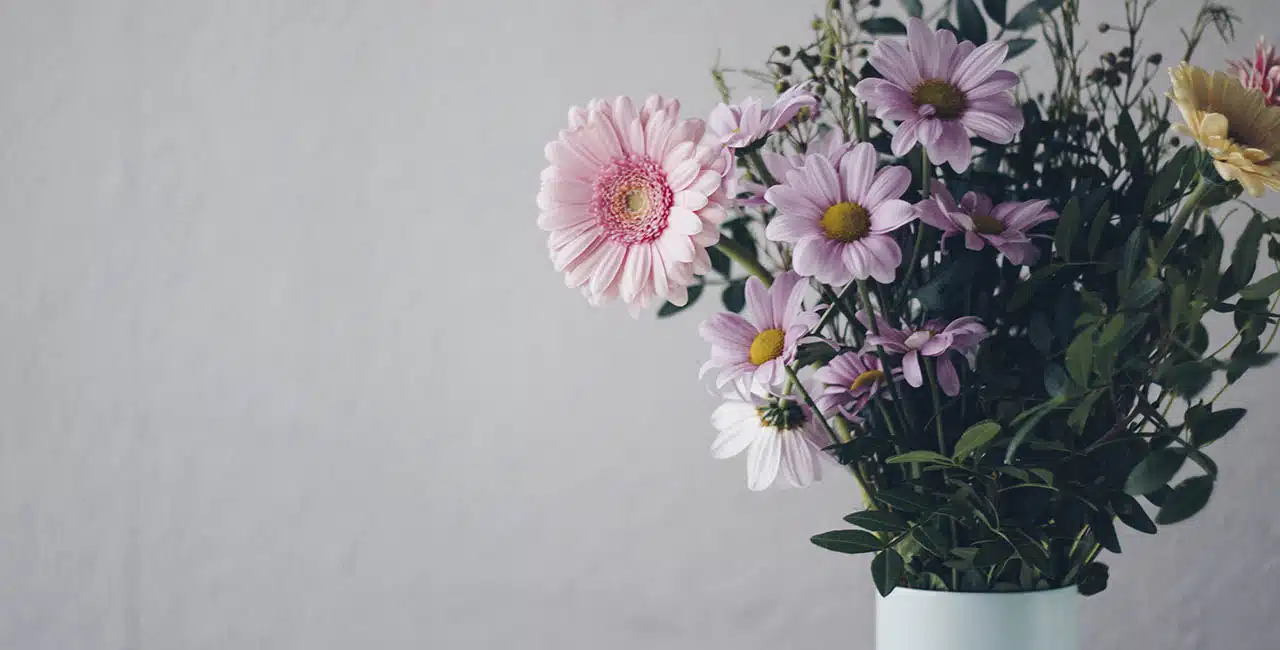 Flores: Conheça Seu Significado Espiritual E Mais 10 Mensagens Por Trás Dela!