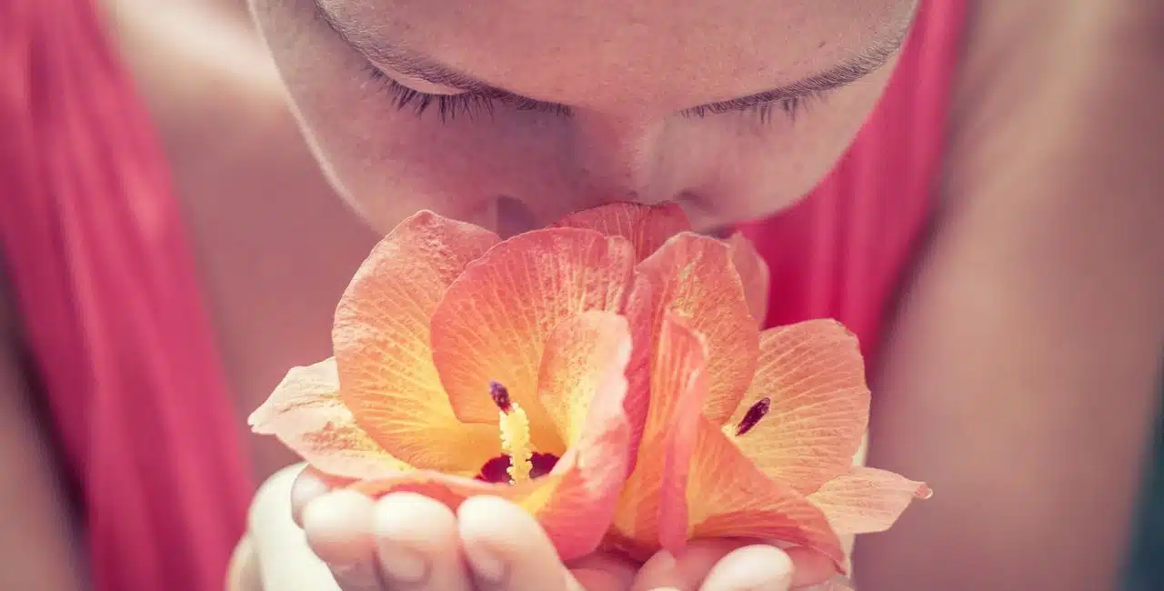 Está Sentindo Cheiro De Flores Do Nada? Entenda O Significado Espiritual Desse Fenômeno