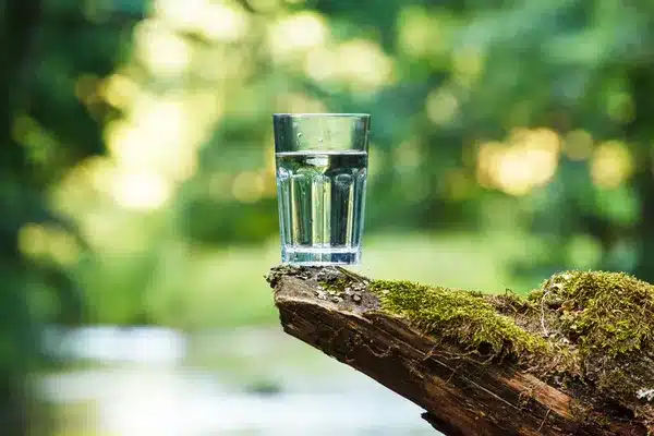 Purifique Seu Ambiente: O Poder Da Benzedura Da Água E Do Sal