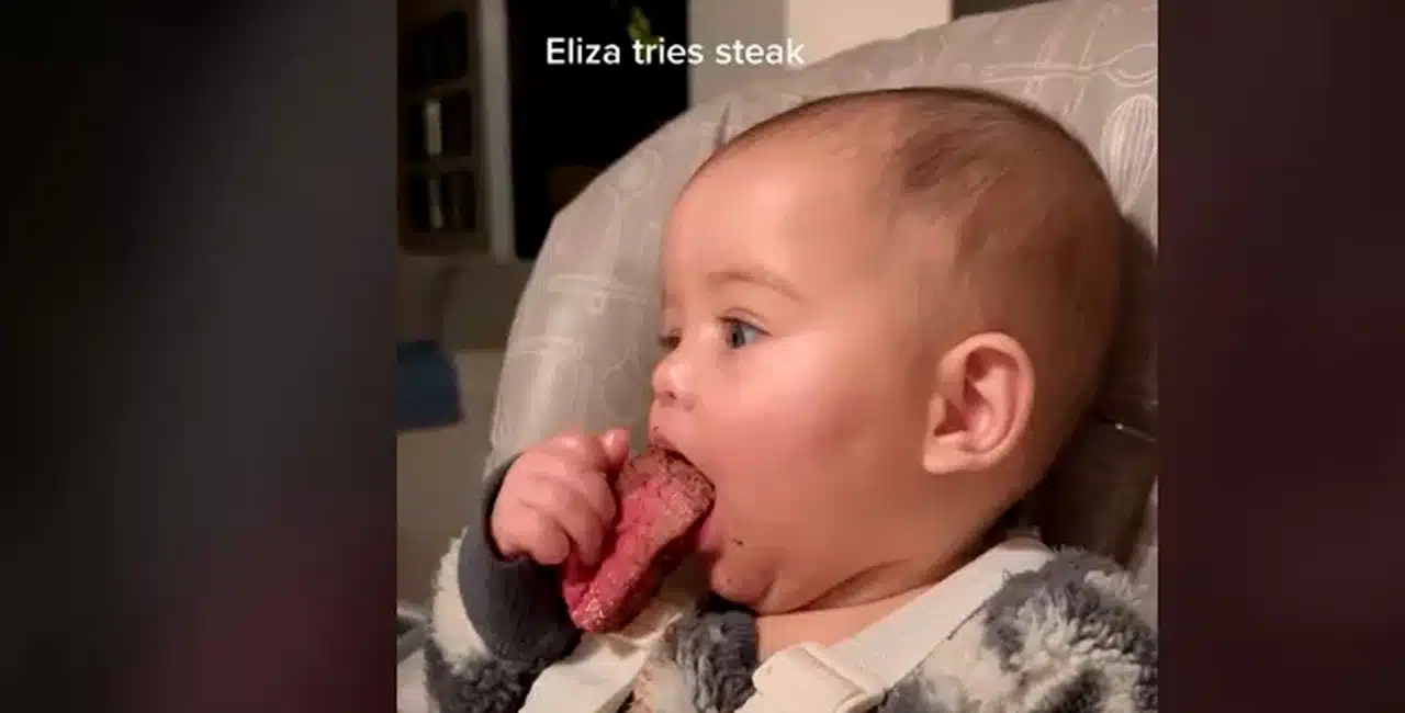 Mãe Compartilha Vídeo De Bebê De 6 Meses Experimentando Carne Pela Primeira Vez E Gera Polêmica
