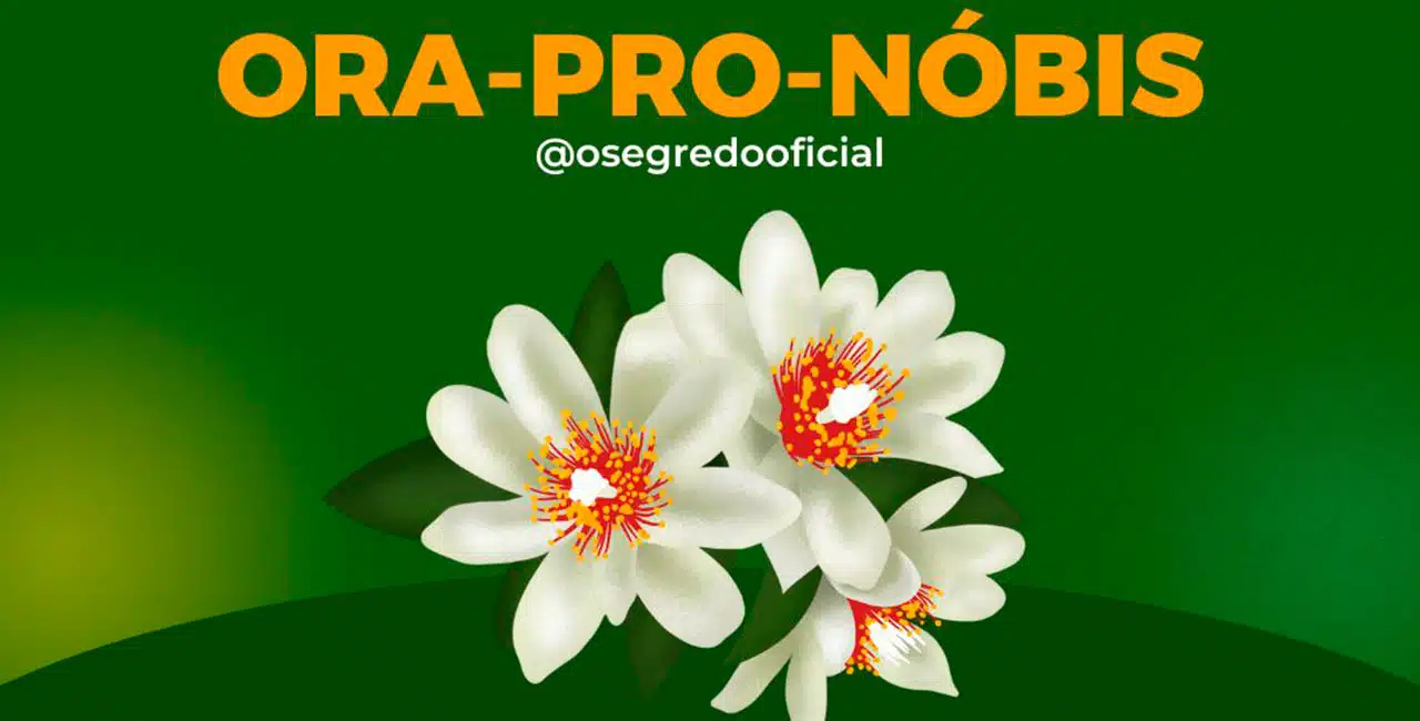 Ora-Pro-Nóbis
