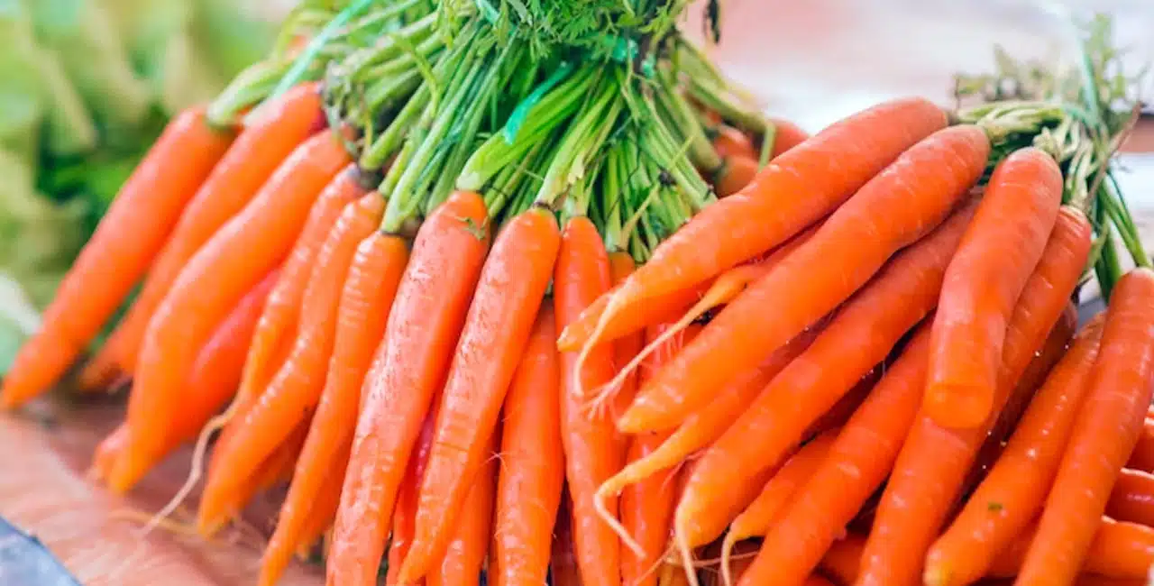 12 Benefícios Da Cenoura E Como Consumi-La (6 Receitas Saudáveis)