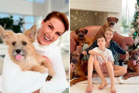 Ana Hickmann Montou Salão De Beleza Para 18 Pets Contra A Vontade Do Marido