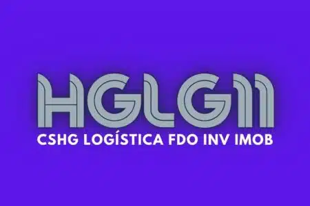Hglg11 - Cghg Logística: Dividendos E Cotação