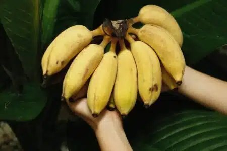 Cada Vez Que Você Sonhar Com Banana, Pode Ser Que Universo Esteja Te Enviando Uma Mensagem