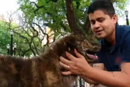 Homem Que Viveu Nas Ruas Fica Milionário Após Conhecer Um Cachorro