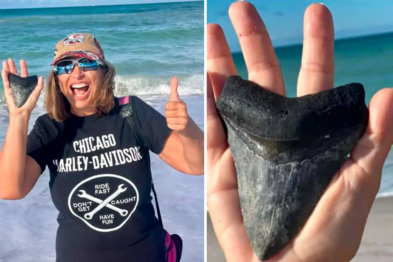 Em Praia Na Flórida, Mulher Encontra Dente De Tubarão Pré-Histórico