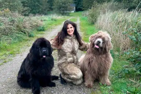 Tutora Muda De Casa Devido Ao Tamanho De Seus Cães: “Parecem Ursos”