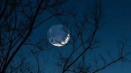 Entenda Como A Fase Da Lua Nova Pode Influenciar Seus Hábitos, Comportamento E Até As Leis Da Natureza