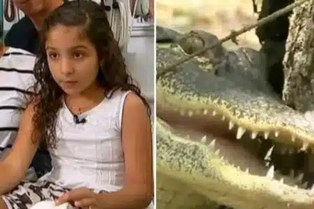 Menina De 10 Anos Se Salva De Ser Comida Por Jacaré Usando Truque Aprendido Em Parque Temático