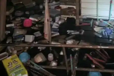 Polícia Diz Que Funcionários De Pet Shop Salvaram Eletrônicos E Deixaram Animais Para Trás Durante Enchente No Rs; 38 Corpos Foram Encontrados