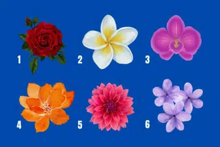 Escolha Uma Flor E Descubra Qual Superpoder Vai Brilhar Em Você Neste Mês De Maio