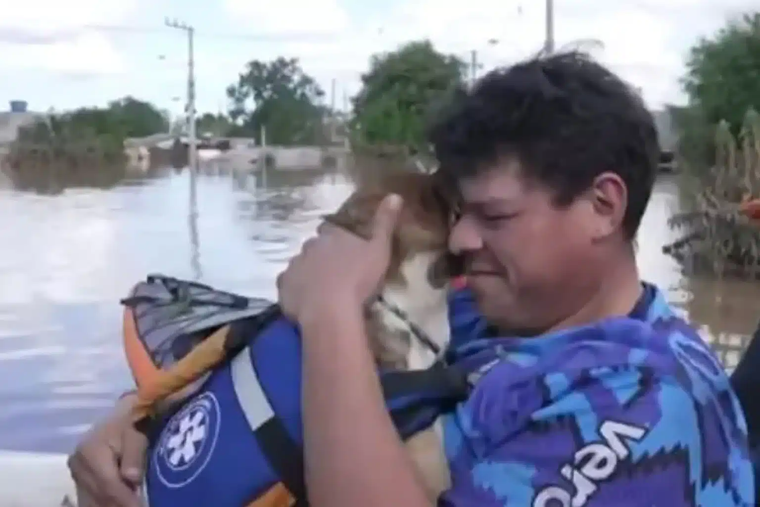 Voluntário Resgata O Próprio Cão Após Enchentes No Rs: &Quot;Meu Cachorro Está Ali&Quot;
