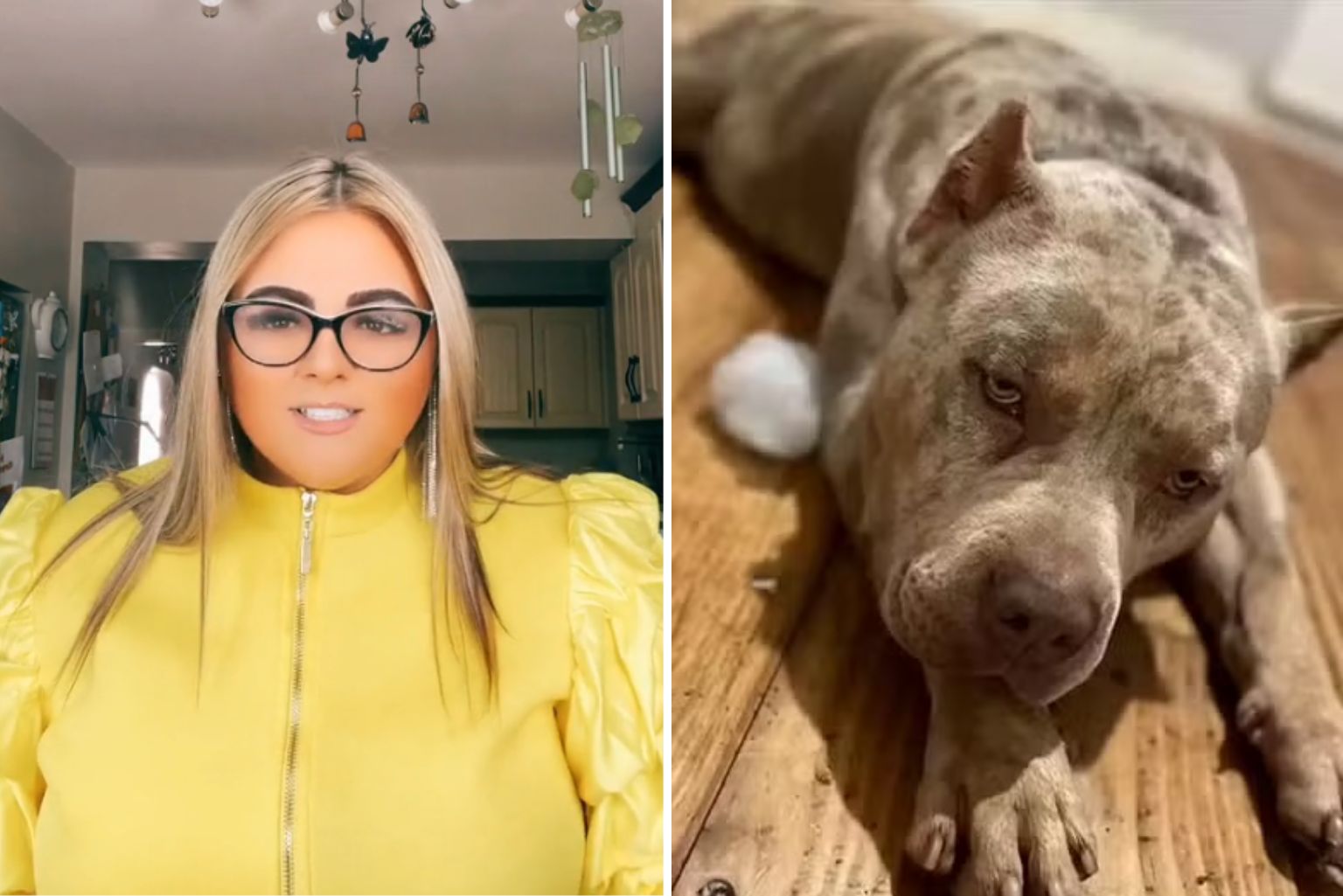 Mulher Perde Um Braço E Morre Após Ataque De Seus Cães De Raça Conhecida Com &Quot;Mortal&Quot; No Reino Unido; Veja O Vídeo