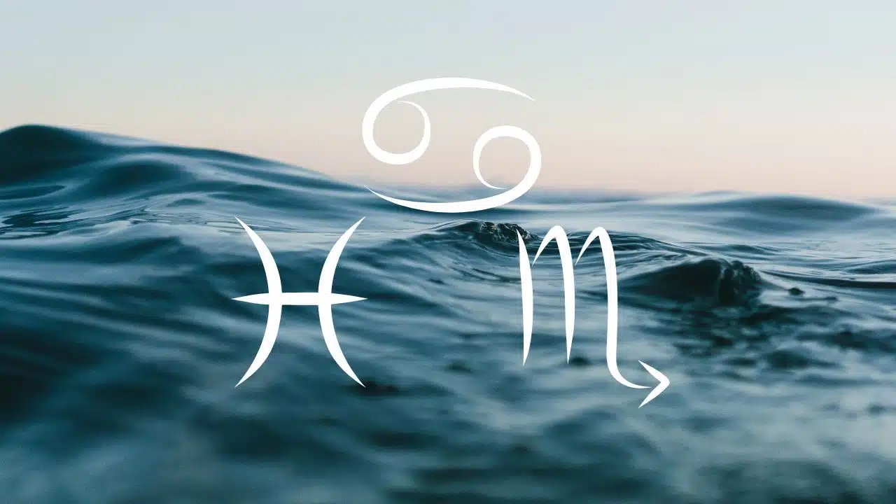 O segredo da prosperidade de cada signo revelado O Segredo Da Prosperidade De Cada Signo Revelado