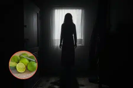 Ritual Poderoso Com Limão E Sal: Saiba Como Eliminar Energias Negativas Em Casa