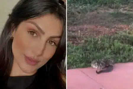 Corretora De Imóveis Grava Momento Em Que É Atacada Por Cobra Venenosa E É Internada Na Uti
