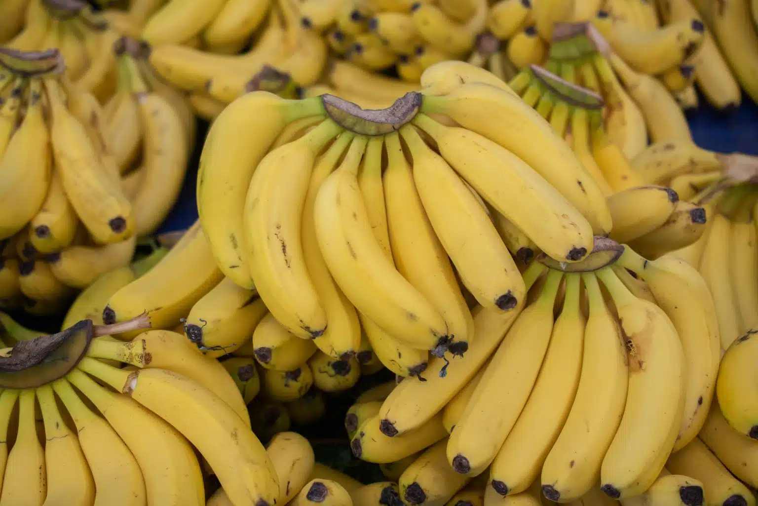 Qual O Melhor Ponto Da Banana Para O Consumo: Verde, Amarela Ou Madura?