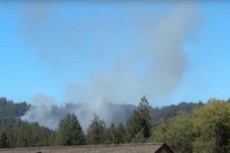 Emboscada! Bombeiros São Assassinados A Tiros Após Serem Chamados Para Apagar Em Incêndio Em Floresta