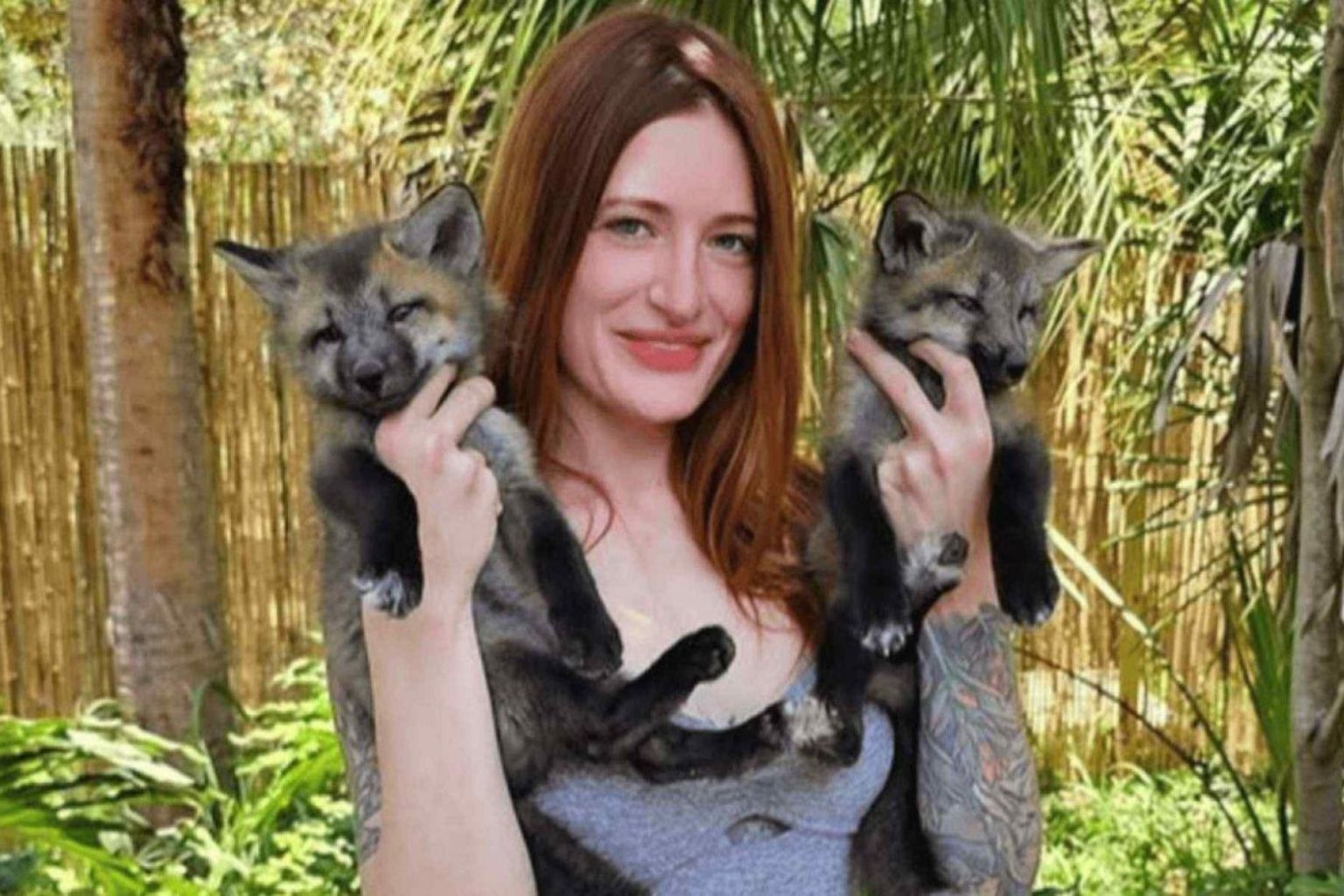 Morre Ativista De Resgate Animal De 29 Anos Após Sofrer Bullying On-Line
