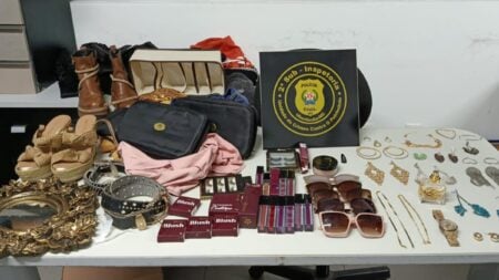 Diarista Sob Investigação Por Roubo De R$ 700 Mil Em Joias E Roupas Da Ex-Empregadora