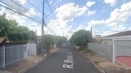 Criança De Três Anos É Atacada Por Pitbull No Interior De Sp