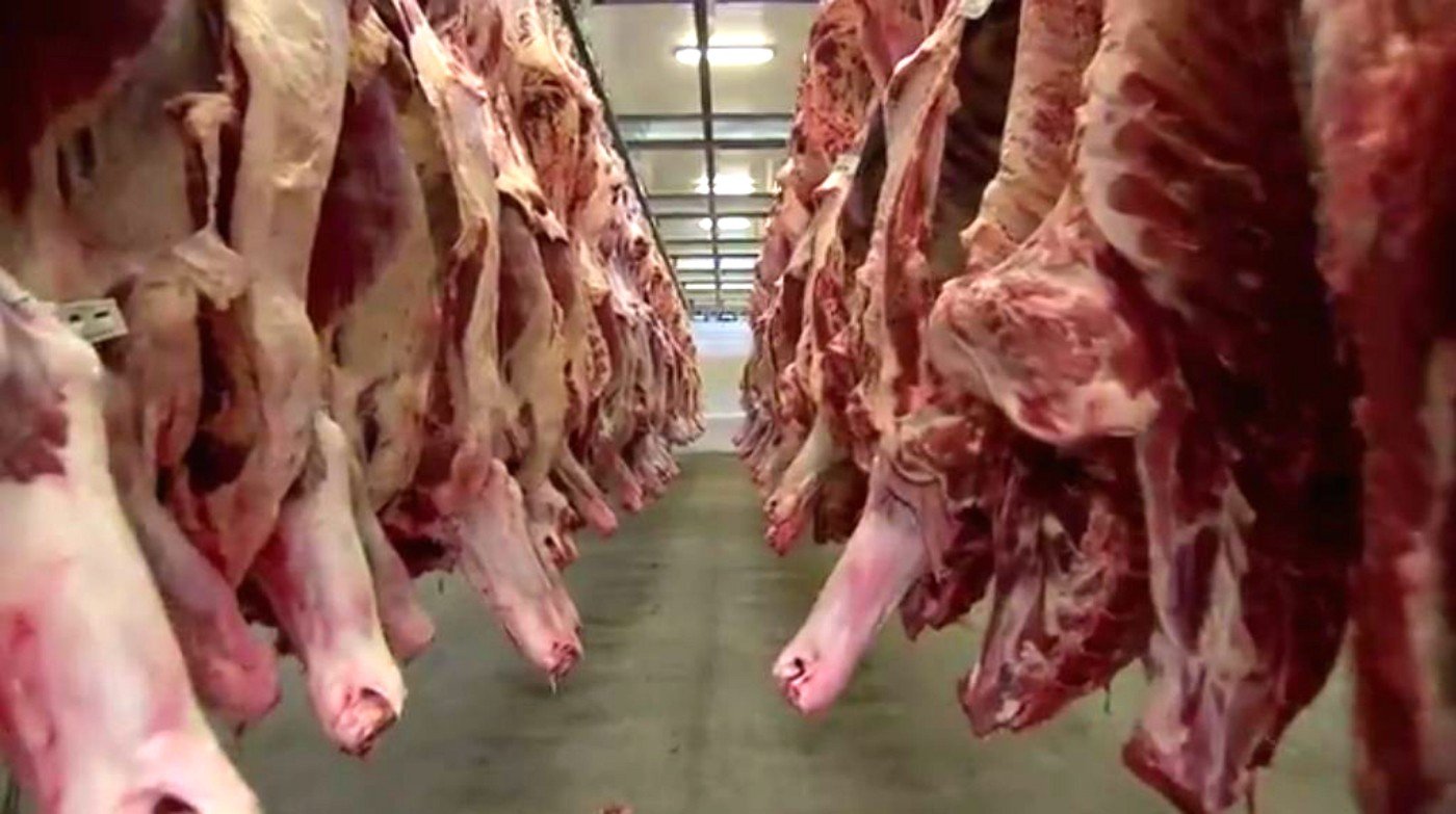 Frigoríficos Paralisam Produção De Carne Para Os Eua Após Tarifaço