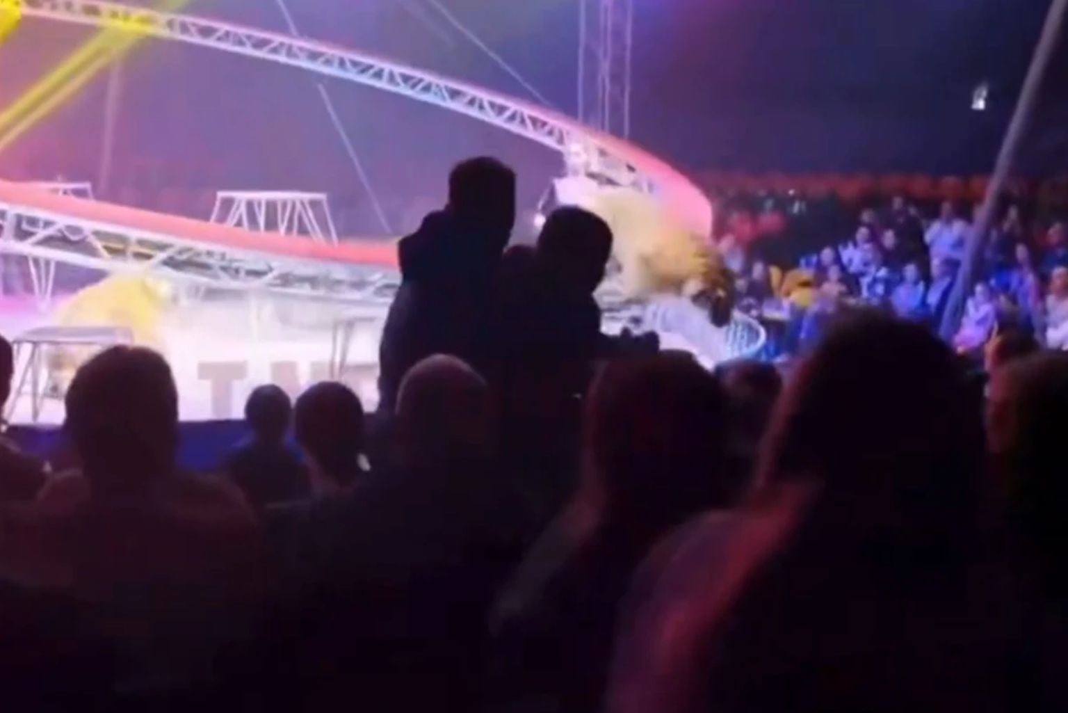 Rússia: Tigre Avança Sobre Plateia De Circo Após Rede De Proteção Cair