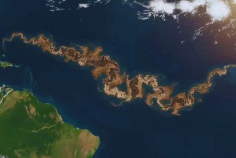 Faixa Marrom Gigantesca Aparece Entre O Brasil E A África E Preocupa Especialistas: Não É Petróleo