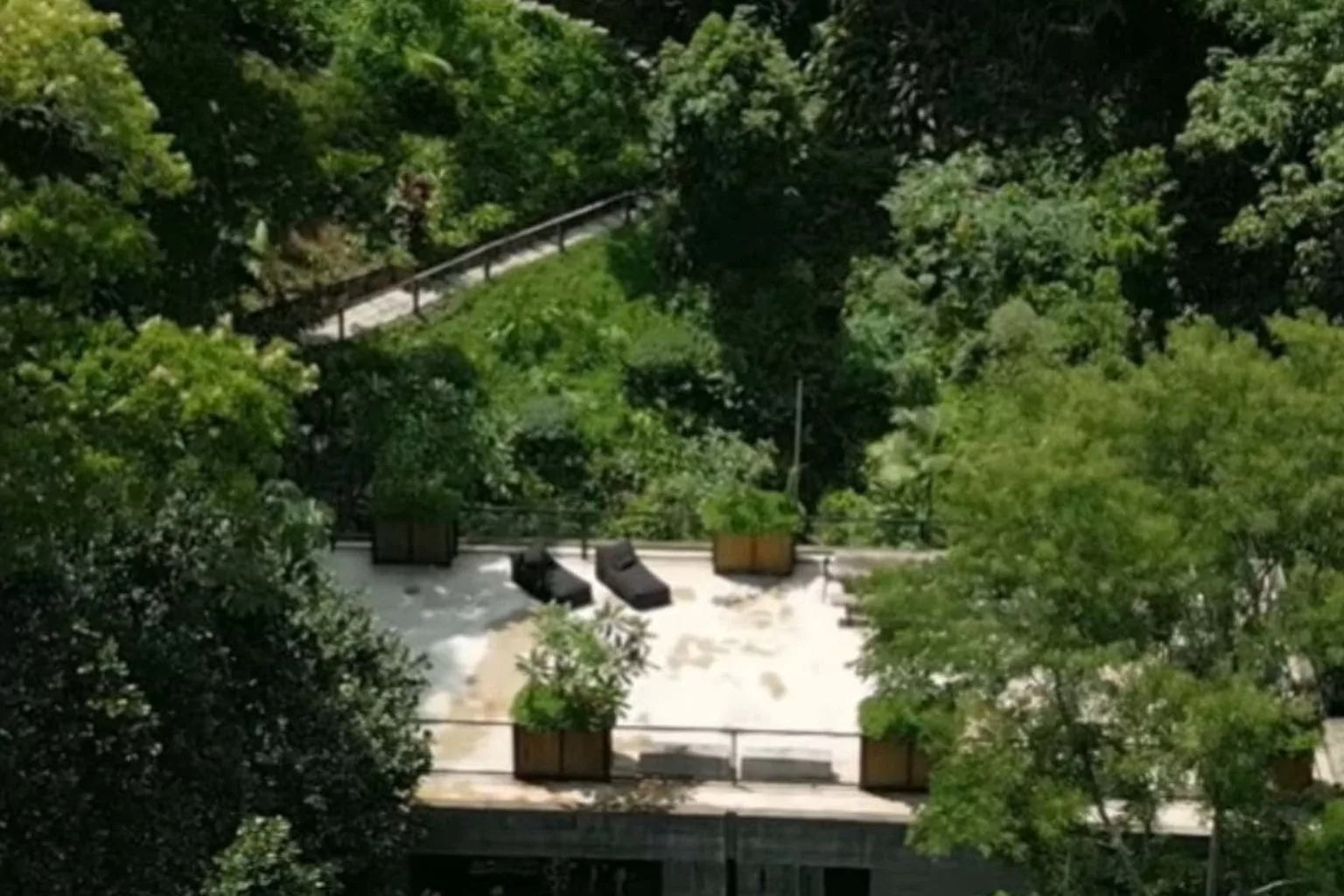 Aos 47 Anos, Dudu Azevedo Vive Em Refúgio Cercado Pela Mata Atlântica E Com Nascente Própria