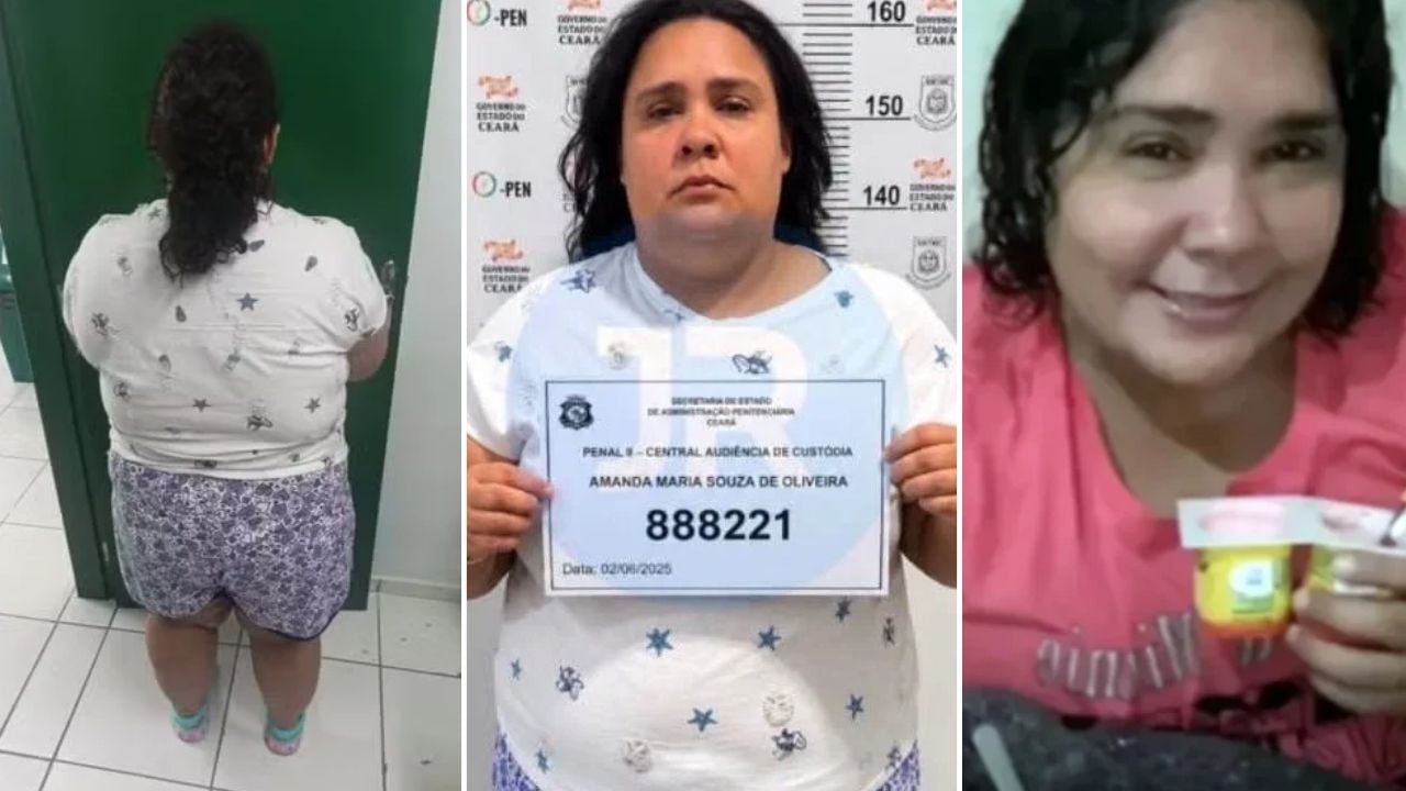 O Detalhe Médico Que Revelou A Farsa Da Falsa Adolescente Em Santa Catarina