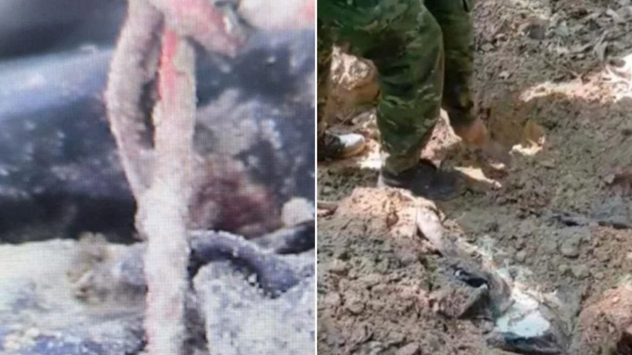 Fotos revelam tortura em chacina que matou 4 amigos no Paraná Fotos Revelam Tortura Em Chacina Que Matou 4 Amigos No Paraná