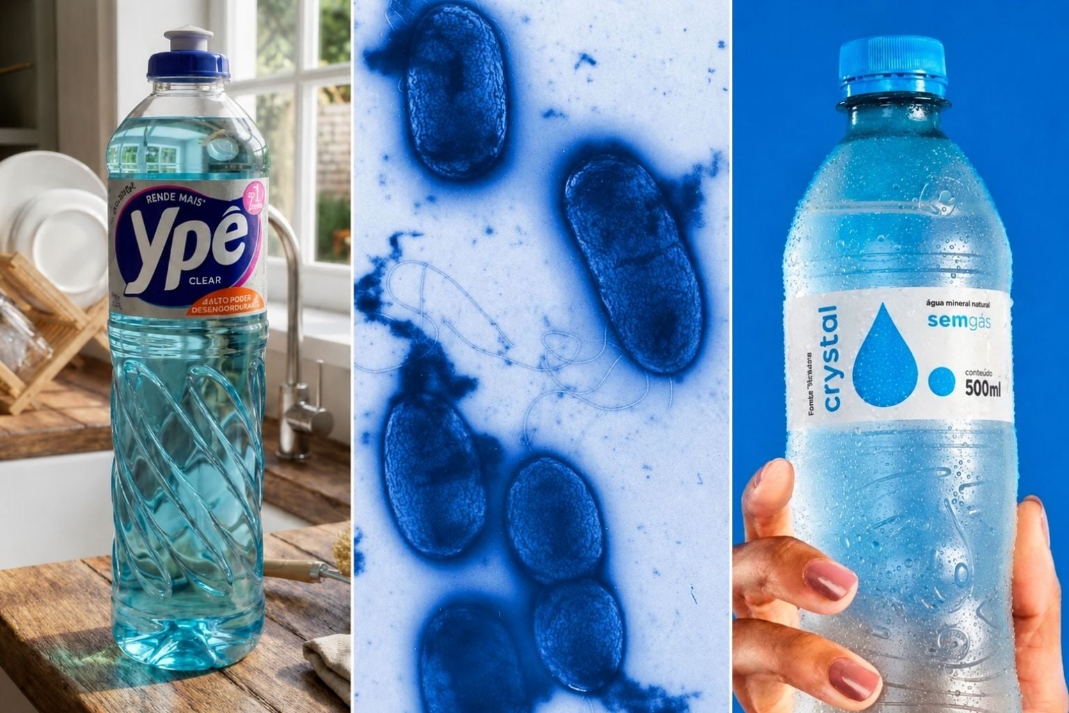 Água Mineral Contaminada: Entenda O Que É A Bactéria Pseudomonas Aeruginosa Encontrada Em Lote Da Crystal