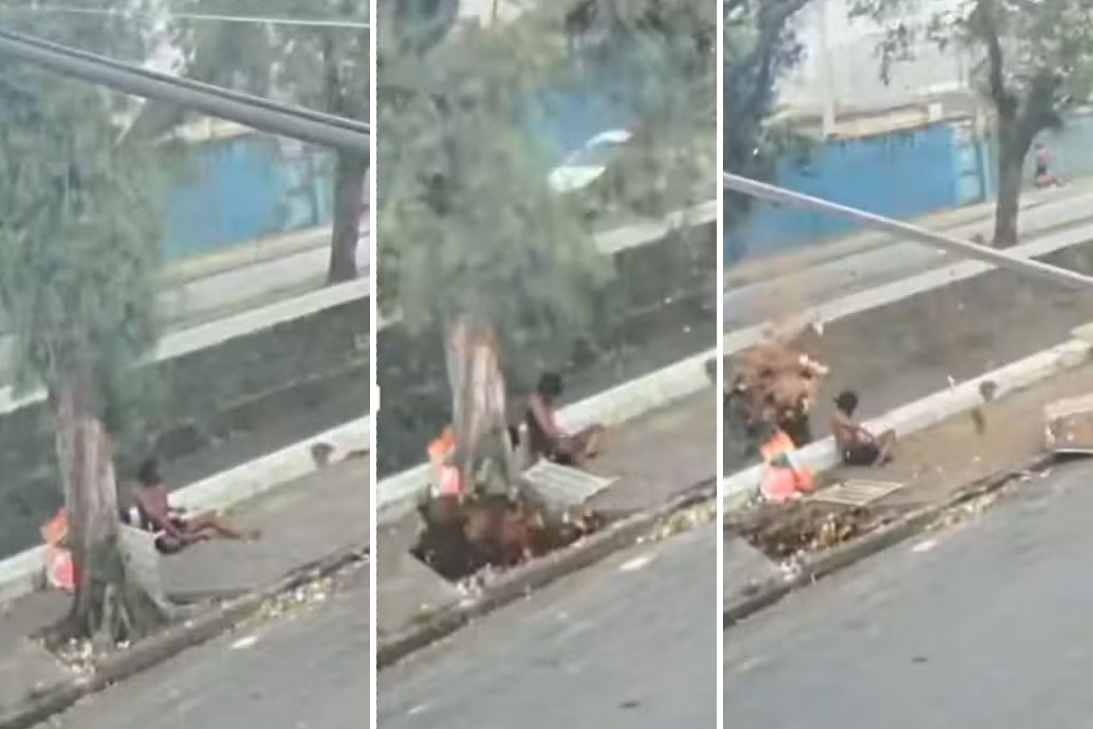 Vídeo mostra árvore atingindo homem que morreu em SP Vídeo Mostra Árvore Atingindo Homem Que Morreu Em Sp