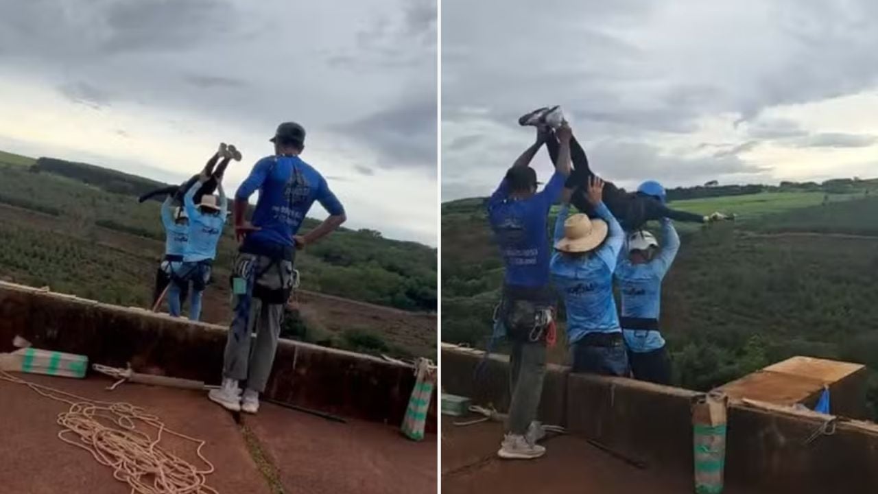 Polícia afirma que dona de grupo de rope jump priorizou esconder câmera após queda Polícia Afirma Que Dona De Grupo De Rope Jump Priorizou Esconder Câmera Após Queda