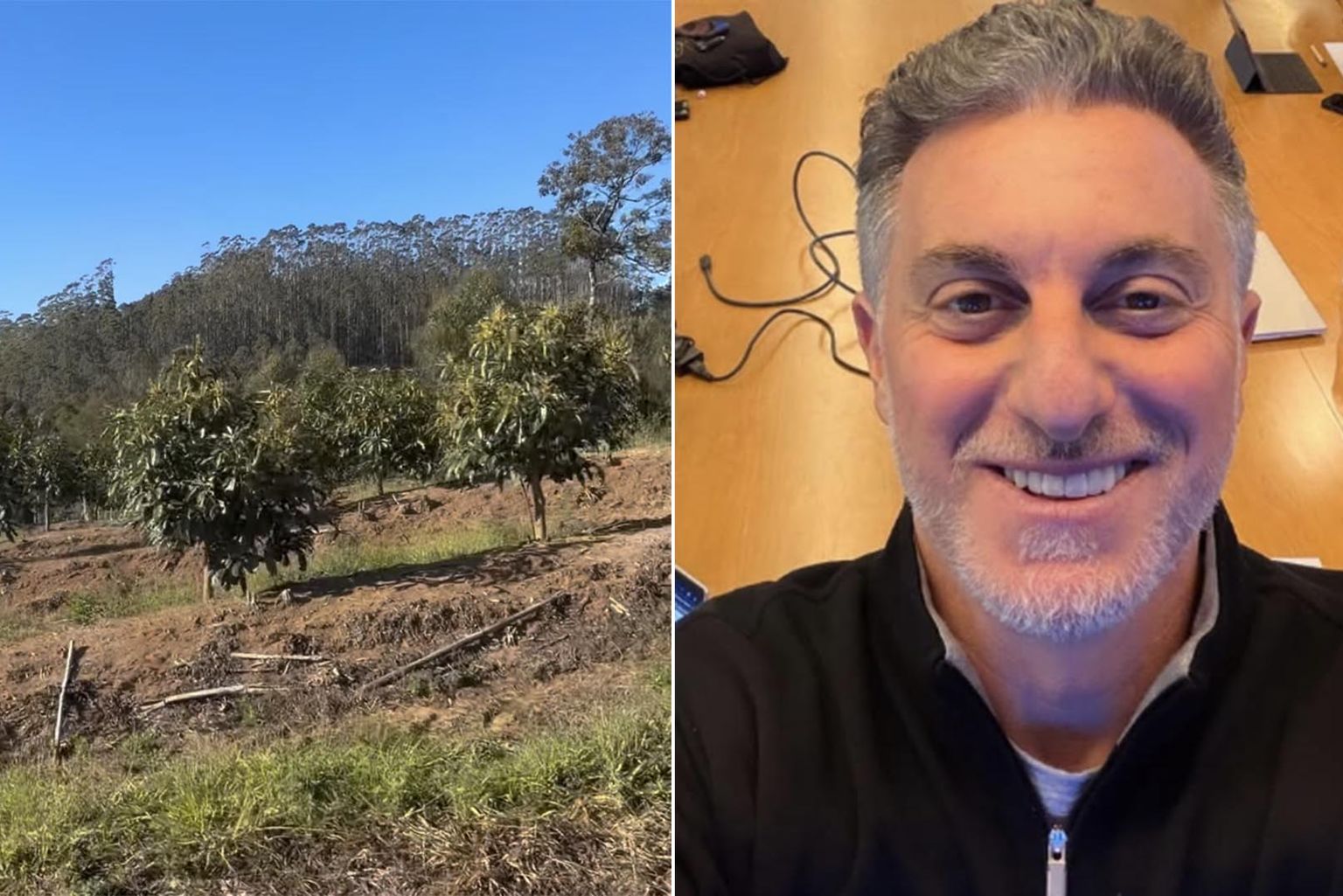 Aos 54 Anos, Luciano Huck Mostra Sua Fazenda Com Plantação De Avocado Na Serra Da Mantiqueira